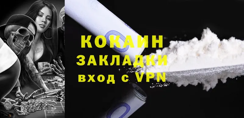 Cocaine Fish Scale  MEGA маркетплейс  Бийск 