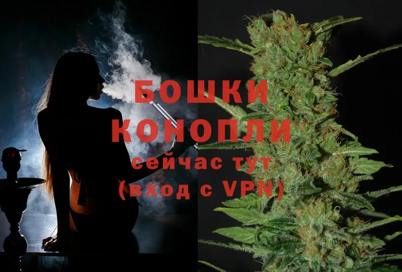 Каннабис SATIVA & INDICA  Бийск 